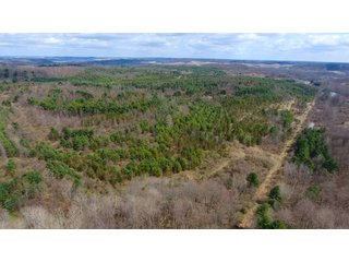 Property photo 33 - LAND AUCTION - 2,596+/- ACRES IN 28 TRACTS IN COSHOCTON & MUSKINGUM COUNTIES, OHIO